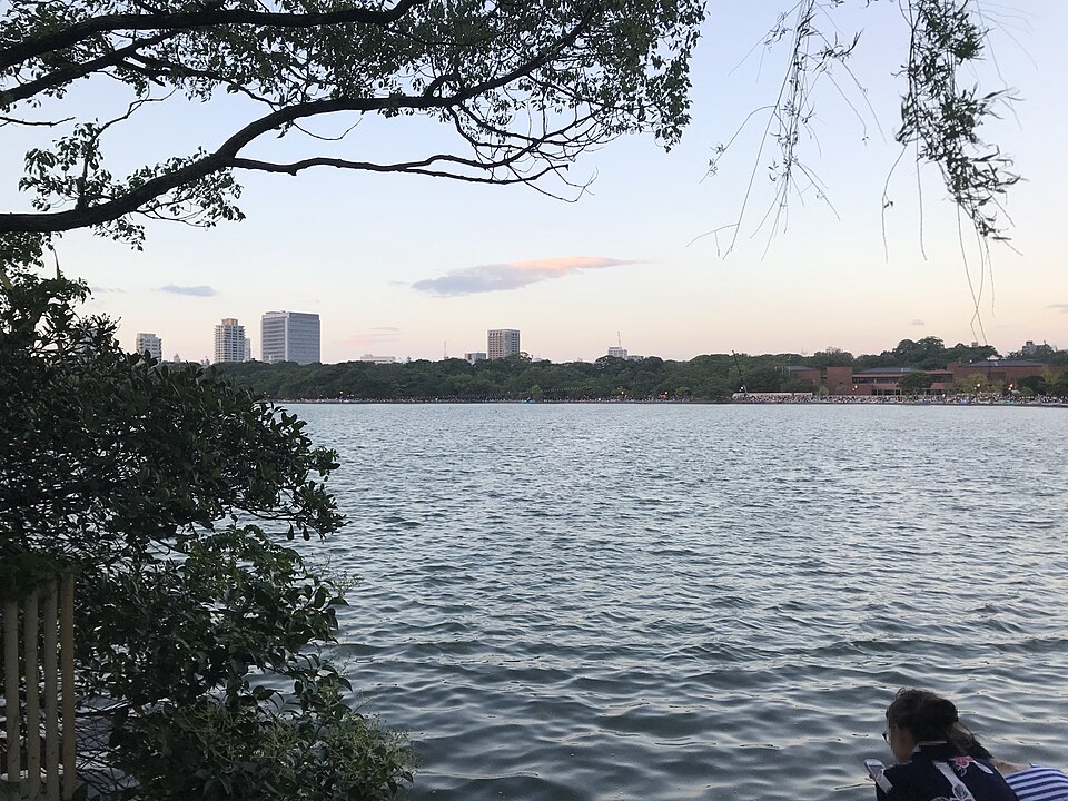 The pond at Ohori Park, with buildings on the far bank and branches in the foreground